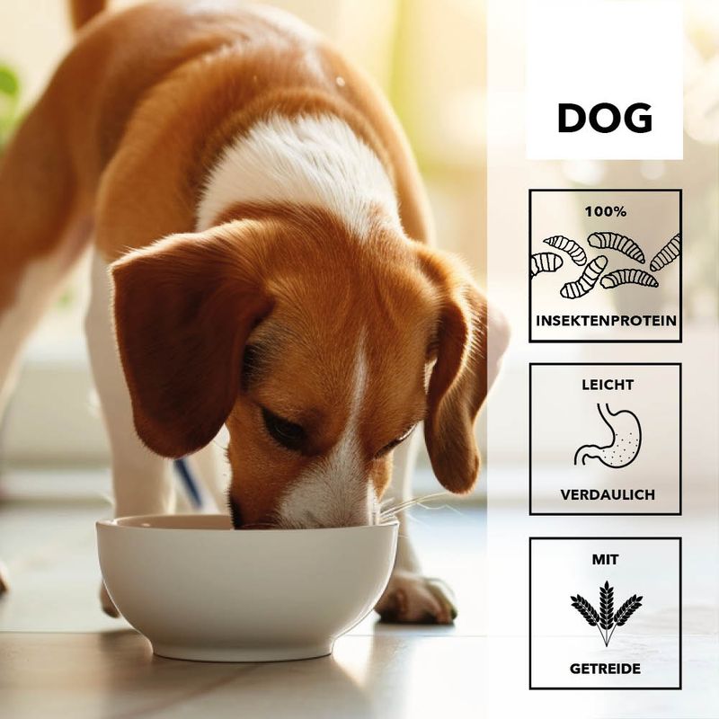 entoVITAL DOG ADULT pour chiens