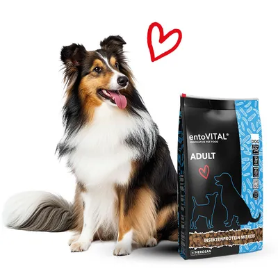 entoVITAL DOG ADULT pour chiens