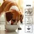 entoVITAL DOG ADULT entoVITAL DOG ADULT