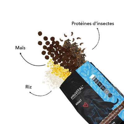 entoVITAL DOG ADULT pour chiens