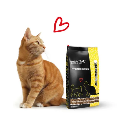 entoVITAL CAT croquettes hypoallergéniques pour chats