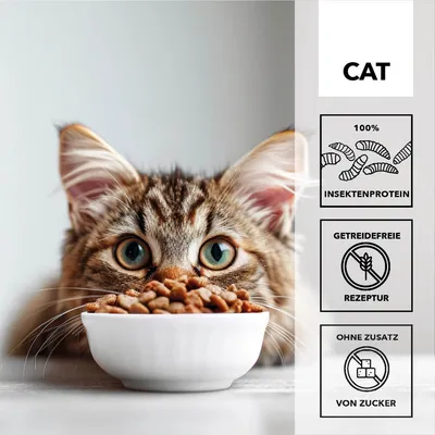 entoVITAL CAT croquettes hypoallergéniques pour chats