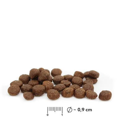 entoVITAL CAT croquettes hypoallergéniques pour chats