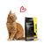 entoVITAL CAT croquettes hypoallergéniques pour chats