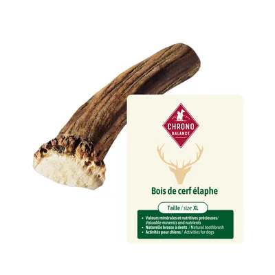 ChronoBalance - Bois de cerf élaphe pour chien (morceaux coupés en deux) ChronoBalance - Bois de cerf élaphe pour chien (morceaux coupés en deux)