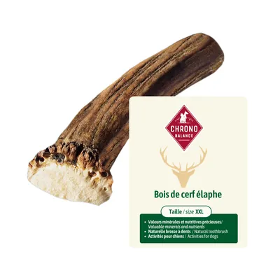 ChronoBalance - Bois de cerf élaphe pour chien (morceaux coupés en deux)