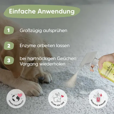 Pawlie's Geruchsentferner Enzymreiniger Spray 500ml Pawlie's Geruchsentferner Enzymreiniger Spray 500ml