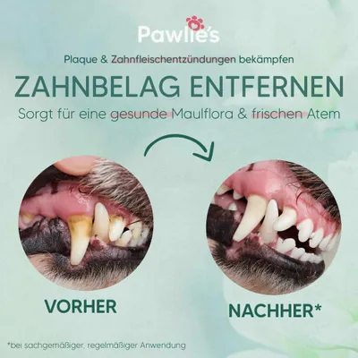 Pawlie's Dentalspray für Hunde und Katzen