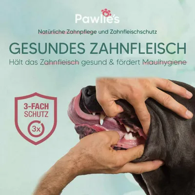 Pawlie's Zahnpflege Set für Hunde und Katzen Pawlie's Zahnpflege Set für Hunde und Katzen
