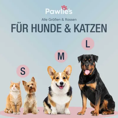 Pawlie's Finger-Zahnbürste für Hunde 2er Set