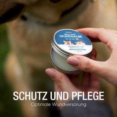 Pawlie's Wundsalbe für Hunde und Katzen