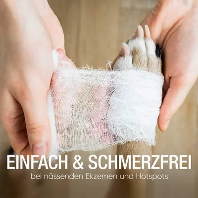 Pawlie's Wundsalbe für Hunde und Katzen