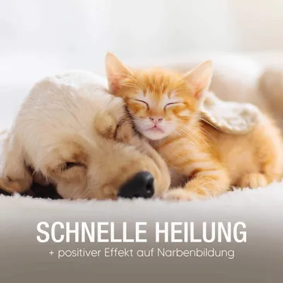 Pawlie's Wundsalbe für Hunde und Katzen