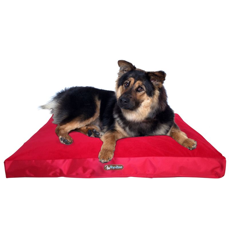 TOPZOO Matelas Chien Déhoussable Velours