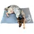 TOPZOO Tapis Rafraichissant Pour Petits Chiens