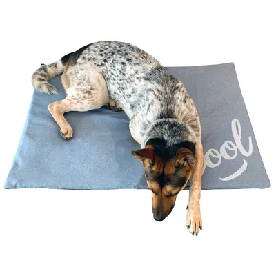 TOPZOO Tapis Rafraichissant Pour Petits Chiens