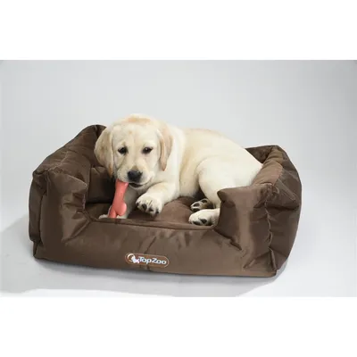 TOPZOO Panier Chien Margot Velours Marron L70