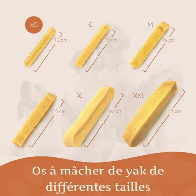 Wildfang® Fromage à mâcher - bâton à mâcher au fromage à pâte dure