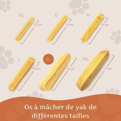 Wildfang® Fromage à mâcher - bâton à mâcher au fromage à pâte dure