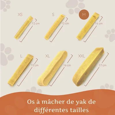 Wildfang® Fromage à mâcher - bâton à mâcher au fromage à pâte dure