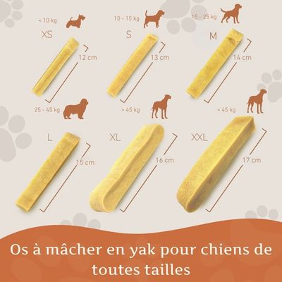 Wildfang® Fromage à mâcher - bâton à mâcher au fromage à pâte dure