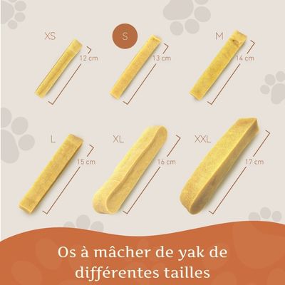 Wildfang® Fromage à mâcher - bâton à mâcher au fromage à pâte dure