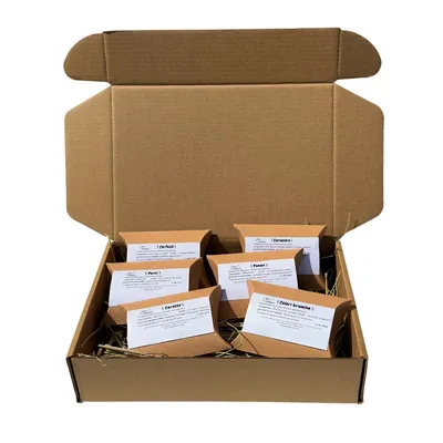 L'Eden des Pattounes Box Echantillons
