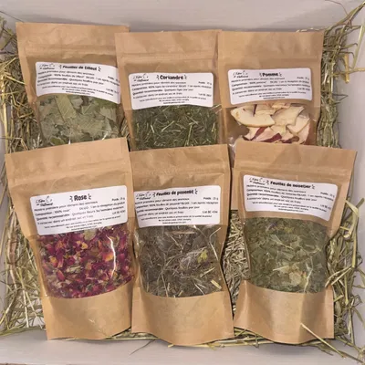 L'Eden des Pattounes Box Mystère