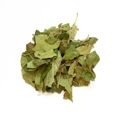 L'Eden des Pattounes Feuilles de pommier