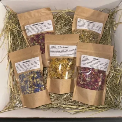 L'Eden des Pattounes Box Fleurs