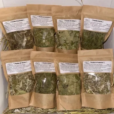L'Eden des Pattounes Box Feuilles