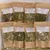 L'Eden des Pattounes Box Feuilles