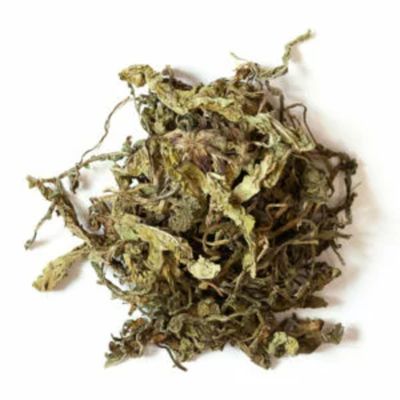 Feuilles de Pissenlit Feuilles de Pissenlit