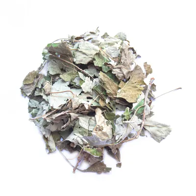 L'Eden des Pattounes Feuilles de tilleul