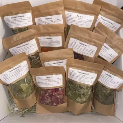 L'Eden des Pattounes Box Découverte XXL