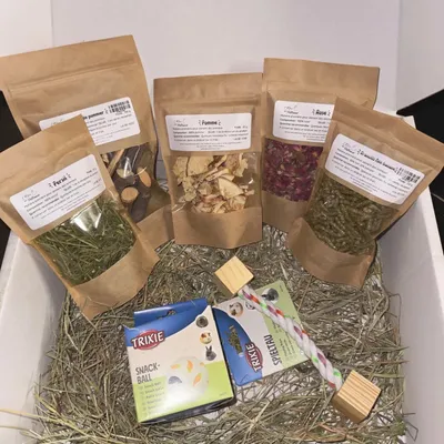 L'Eden des Pattounes Kit d'arrivée du lapin