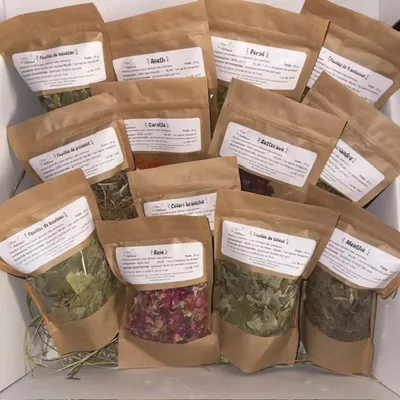 L'Eden des Pattounes Box Découverte