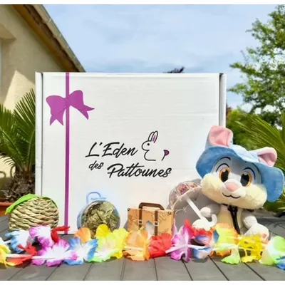 L'Eden des Pattounes Box des vacances