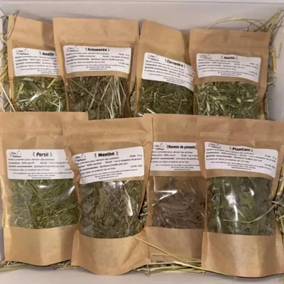 L'Eden des Pattounes Box Herbes et Plantes