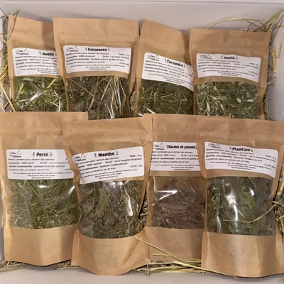 Box Herbes et Plantes