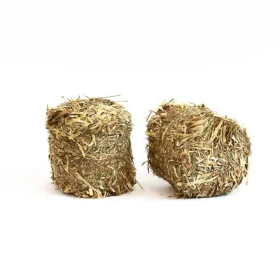 L'Eden des Pattounes Pellet géant - 100 % luzerne