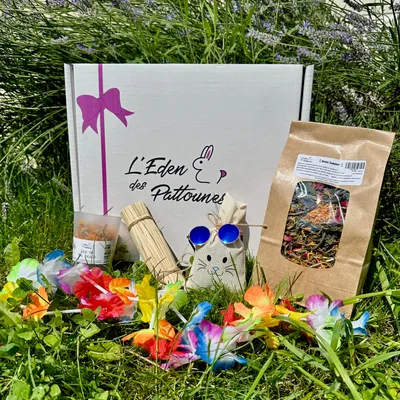 L'Eden des Pattounes Box de l'été