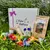 L'Eden des Pattounes Box de l'été