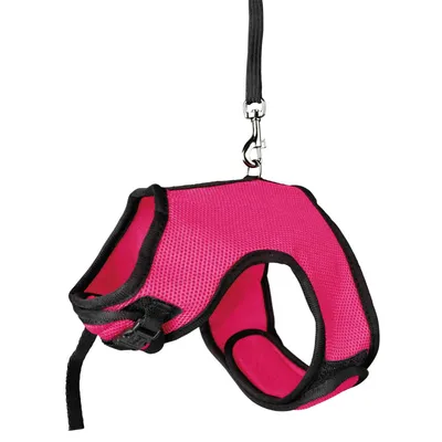 Harnais doux pour grand lapin