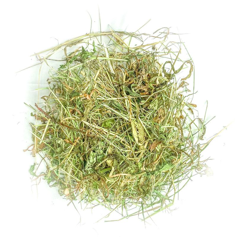 L'Eden des Pattounes -Foin aromatisé aux feuilles de mûrier