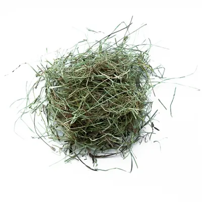 L'Eden des Pattounes - Foin de l'Eden pour lapins et rongeurs - 6 kg L'Eden des Pattounes - Foin de l'Eden pour lapins et rongeurs - 6 kg