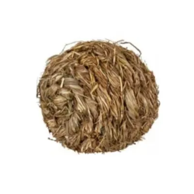 Trixie Balle en herbe