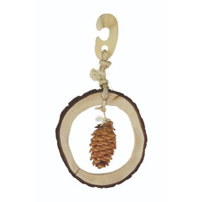 Pomme de pin pour lapin