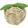 Pomme en herbe