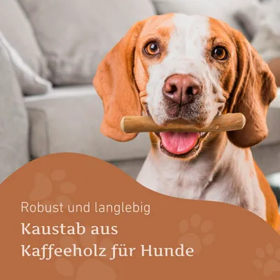 Wildfang Kaffeeholz Kaustab